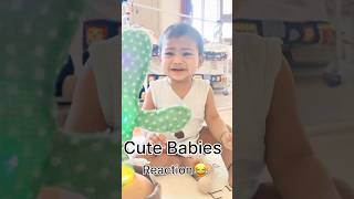 Cactus Toy को देख कर रो पड़ा बच्चा | Dancing Cactus Toy Kids Reaction