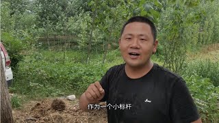 改善乡村环境提升生活质量家家户户动起来，整理出干净卫生的家园 #振兴乡村 #农村新景象 #人居环境