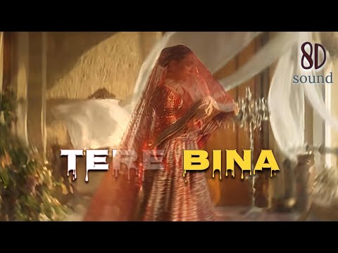 Tere Bina | Heartfelt Hindi Love Song (Official song) #newsong #tseries