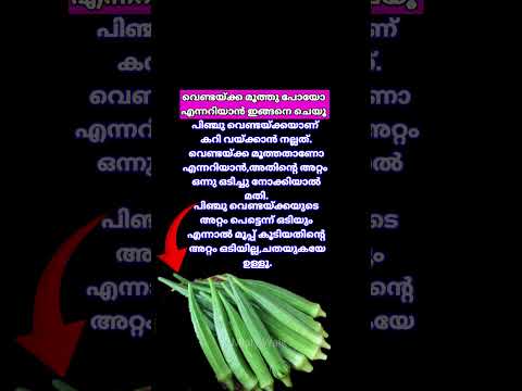 Tricks to identify Young Okra
