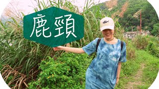 [mini vlog] 誤遊鹿頸+穿搭 | Luk Keng