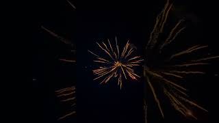 I hope you all had a safe and fun Independence Day!🎉🫶 #fireworks #summer
