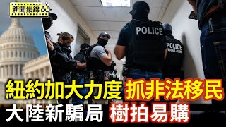 大陸最新金融騙局「樹拍易購」爆雷｜霍曼：ICE將布滿紐約市 抓捕力度恐增【環球直擊片段】2025-07-23