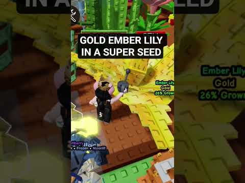 EMBER LILY GOLD IN SUPER SEED! #roblox #lucky #growagarden #growagardenroblox #emberlily #games #fyp