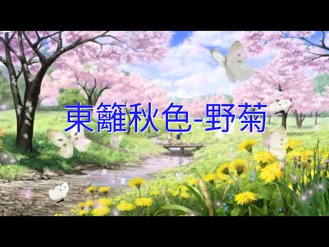 YPT18《東籬秋色-野菊》心靈音樂｜休閒音樂｜佛教音樂｜禪修音樂｜太極拳背景音樂＞無痕加長珍藏版