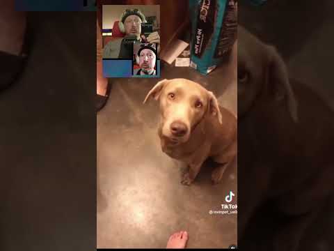 Would You Like a Treat?