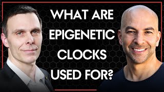 What are epigenetic clocks used for? | Matt Kaeberlein and Peter Attia