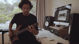 .strandberg* "Original" pickups