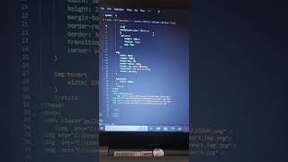 Image Creative Animation In Css 🔥 Html css website design tutorial #techcoding #programming #htmlcss