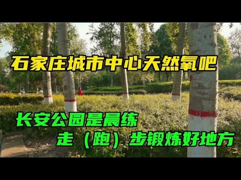石家庄城市中心天然氧吧，长安公园是晨练（走）跑步锻炼的好地方