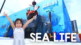 Sea Life at Legoland Malaysia | Shopping at Johor Premium Outlets | Adarable World