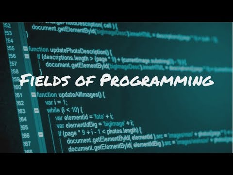 Different Programming Fields