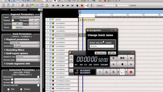 **  HOW TO GET STARTED WITH MIDI COMPOSITION ON ROSEGARDEN  **
