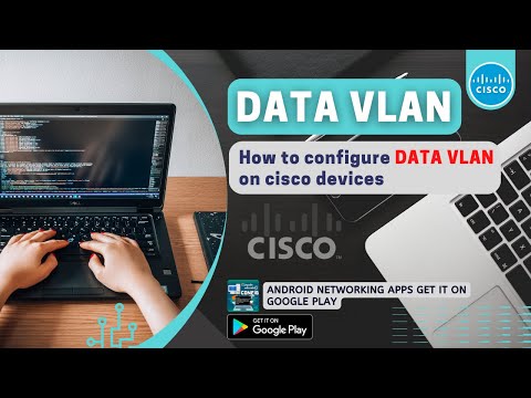 Configure Data VLAN on Cisco Devices | Network Handbook