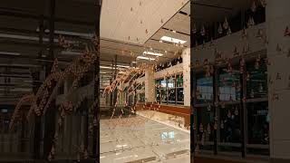 Very nice view in changi airport terminal 1#ofwsg #longvideo