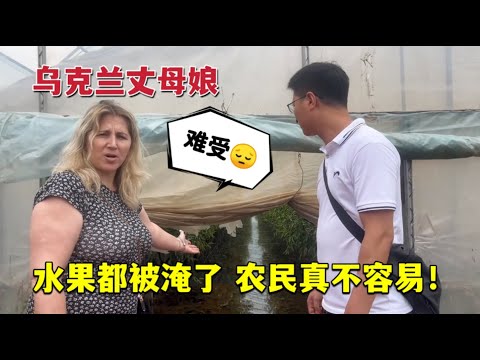 It is not easy to start a business in rural China中烏夫婦創業賣水果，丈母娘看了心疼，全被水淹：太不容易了！