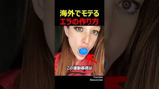 海外でモテるエラの作り方