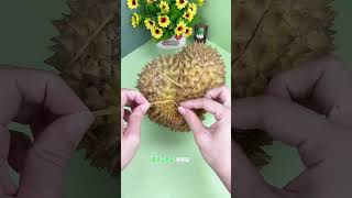 Is there really a kitten hidden inside a durian?#assessment #guaused car .