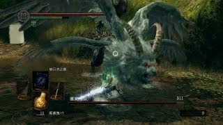 《黑暗靈魂》DLC頭目攻略「靈廟聖獸」