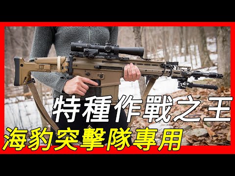 海豹突击队专用枪，特种作战之王，采用模块化设计，FN SCAR 突击步枪