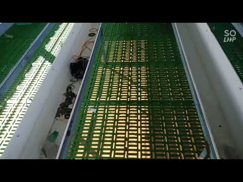 16x40 Hitech Goat Shed Bangarpet, Kolar, Karnataka. Quality Roofings KUMTA 8105805377