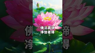 #修心修行 #佛學智慧 #佛教文化 #佛家 #正能量語錄 #智慧人生 #人生感悟  完整版http://www.mahayanauniversallight.live/#/v2/read/69828