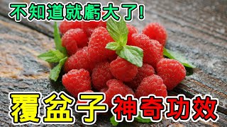 覆盆子的神奇功效，你不知道就虧大了！
