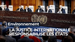 Environnement: la justice internationale responsabilise les États - RTBF Info