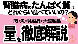 【管理栄養士がゆっくり解説】腎臓病たんぱく質制限のレシピでお困りの方必見！タンパク質量と食べる量の目安を管理栄養士が解説！