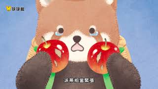 小貓熊派蒂的蘋果派