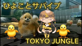 【YOKYOJUNLE】ゲーム雑談ひよことサバイブ☆になったら写経が待つ配信！【PS3】