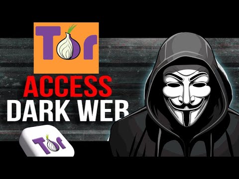 How to Access the Dark Web Safely in 2025   Privacy & Security Guide