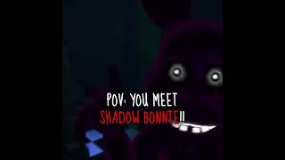 POV: You MEET Shadow Bonnie!! | #shorts