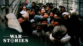 Inside Auschwitz: First-Hand Accounts From The Holocaust