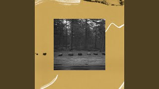 Darklight (Live at the Arvo Pärt Centre, Estonia / 2022)