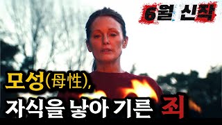91개국 1위 🔥 영화라는걸 망각한 채 2시간을 넋놓고 보게 만드는 추천신작 [결말포함]