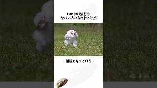 ｴｯﾎｴｯﾎの流行りの煽りを受けた母親#鳥#フクロウ#アイコン#shortsfeed #voicevox
