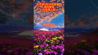 #早安朋友：🙏白色情人節❤️人間有真愛，願天長地久。祝你情人節快樂🙌有一種牽手，叫白頭偕老；有一種幸福，叫有你真好🙏#正能量 #祝福 #早安