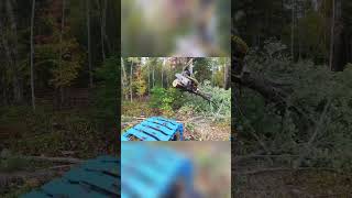 Forestry Machine's Amazing Grapple Power!