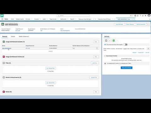 Salesforce Revenue Cloud Advanced Product Usage Tracking Demo