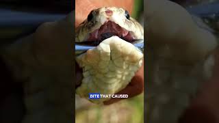 Snake milkers do what?! #shorts #careerpath #podcast