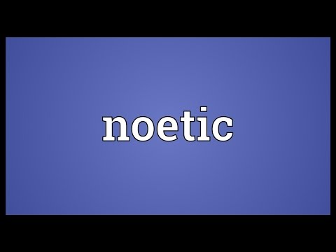 Noetic Meaning