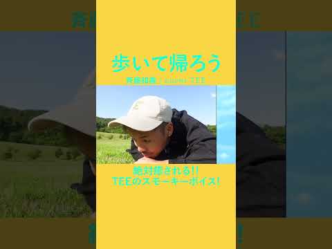 【LA PAPAなヤツ】歩いて帰ろう/斉藤和義　covered by TE