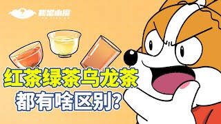 【小魔】红茶绿茶乌龙茶，都有啥区别？