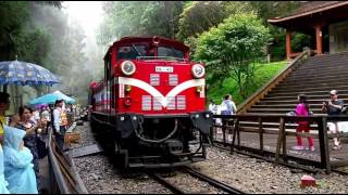 嘉義阿里山森林火車