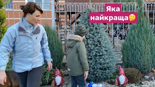 НАЙКРАЩА НОВОРІЧНА ЯЛИНКА на нашому подвір‘ї🎄