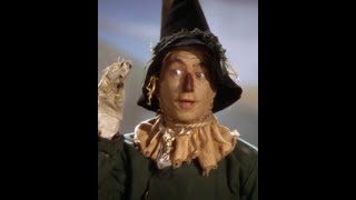 Dorothy meets Scarecrow on The Yellow Brick Road- Wizard Of Oz Comedy Recap