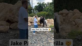 Me Vs. Gorilla 🦍