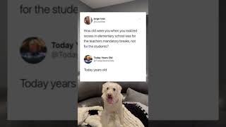 Is true about school #schoollife #school #schooltime #memepage #viralvideo #viralreels