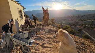 Days of hope: Hojjat's trip to bring an excavator and start building a bathroom!  🌟